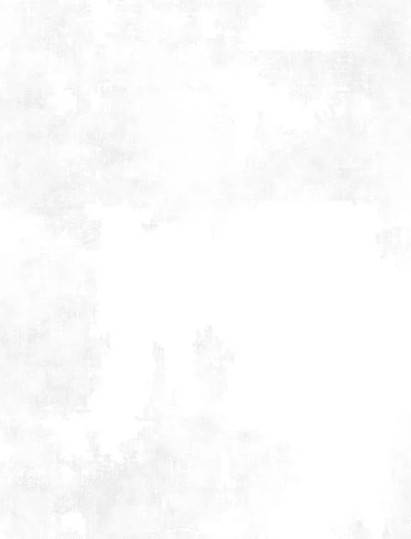 Dry Brush quilting fabric 1077 89205 100 in white palette